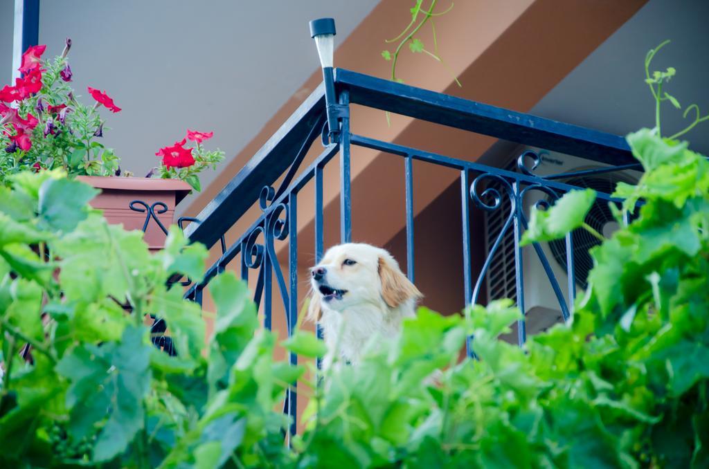 Nefeli Apartment Levidhion Exterior photo
